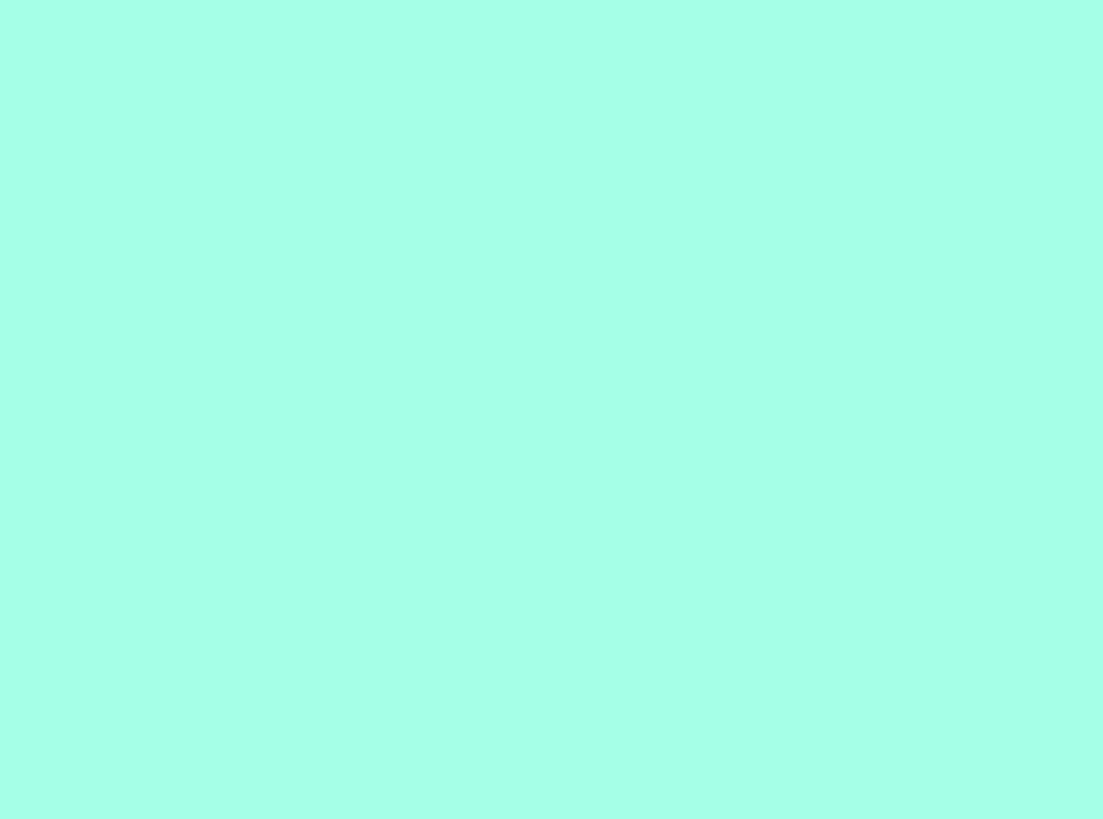 Rectangle 2904